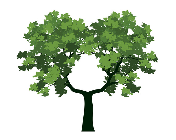 SPRING Green Tree with Leaves. Vector outline Illustration. - Vecteur, image