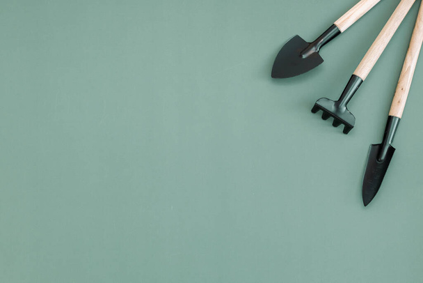 Three gardening tools of two spatulas and one rake lie to the right on a green background with copy space on the left, flat lay close-up. Concept of gardening, sowing seeds. - Photo, Image