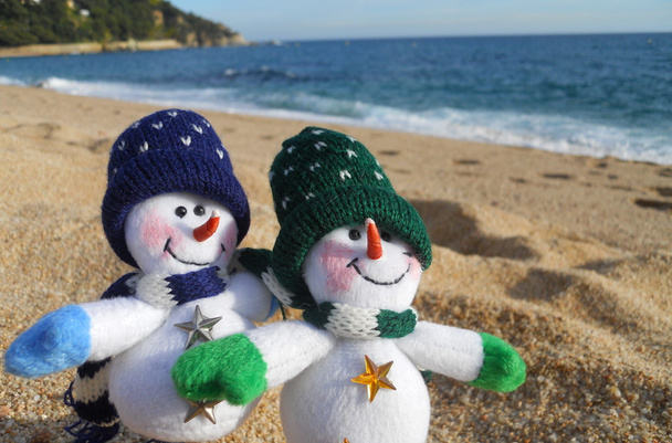 Романтические зимние каникулы
 - Фото, изображение