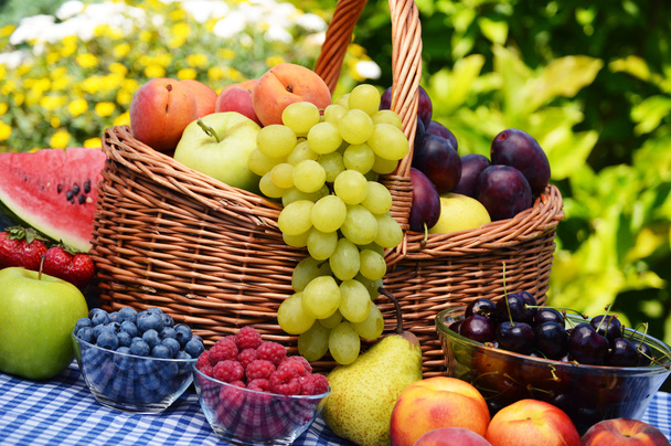 Корзина свежих органических фруктов в саду
 - Фото, изображение