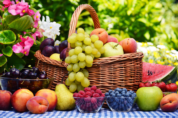 Basket of fresh organic fruits in the garden - Photo, Image
