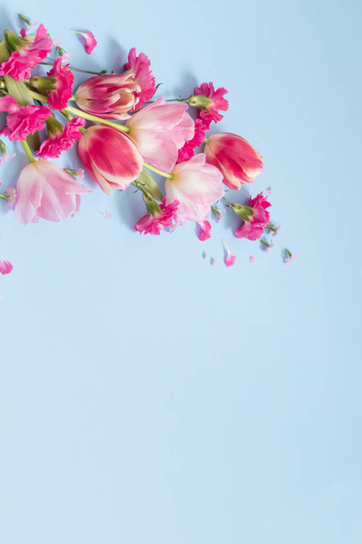 beautiful spring flowers on blue  background - Фото, изображение