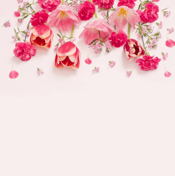 beautiful spring flowers on white  background - Zdjęcie, obraz