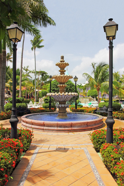 Hermosos jardines tropicales ornamentales
 - Foto, imagen