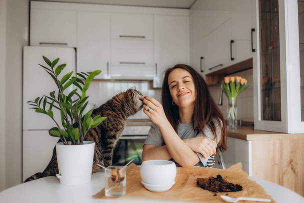 Egy fiatal nő macskával a konyhában egy vázát ültet egy edénybe. - Fotó, kép