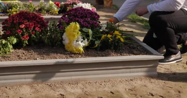 La gente ha posato fiori freschi alla tomba dell'eroe caduto al cimitero. - Filmati, video