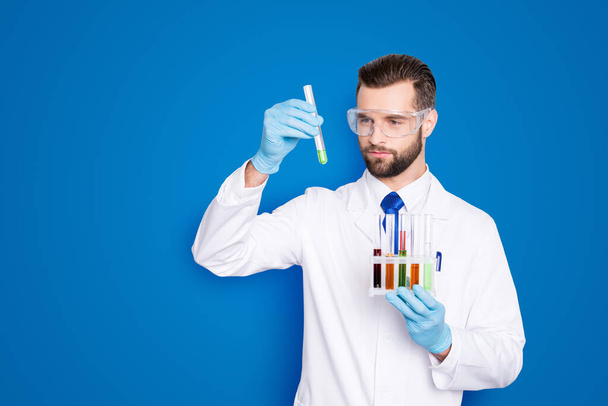 Portrait of busy concentrated scientist with stubble in white lab coat, gloves analysing, looking at test tubes with multi-colored liquid in his arm, isolated on grey background. - Foto, Bild