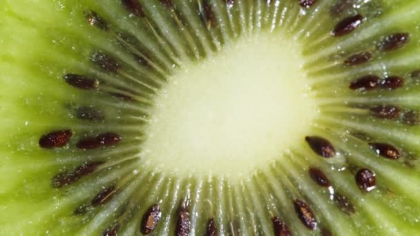 Κοντινό πλάνο Kiwi Slices Περιστροφή: Ζωντανό Πράσινο Φρούτα Μακρό Βίντεο Πλάνα σε Μαύρο Φόντο. Φρέσκα και ζουμερά τροπικά ακτινίδια Περιστρεφόμενα αργά Τρόφιμα ή Έννοια της φύσης. - Πλάνα, βίντεο