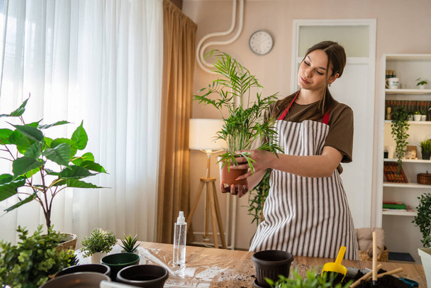 Μία νεαρή γυναίκα καυκάσια γυναίκα κηπουρός ή ανθοπώλης αναλάβει τη φροντίδα και την καλλιέργεια εγχώριων φυτών λουλουδιών στο σπίτι κηπουρική έννοια αντίγραφο χώρο - Φωτογραφία, εικόνα