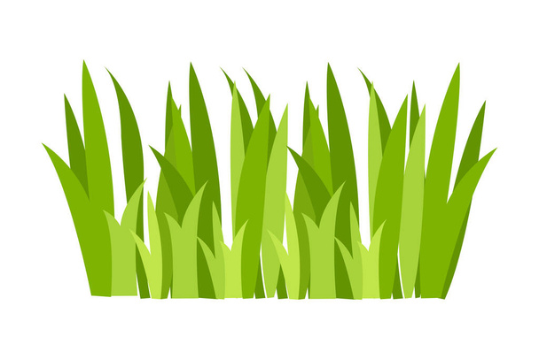 緑の草のイラスト。緑の芝生、花、自然の境界線、ハーブ。春、夏、自然、地面、植物のコンセプトのためのフラットベクトルイラスト. - ベクター画像