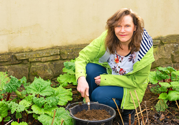 March is an excellent time for using homemade compost to mulch and feed the rhubarb and raspberries. - Photo, Image