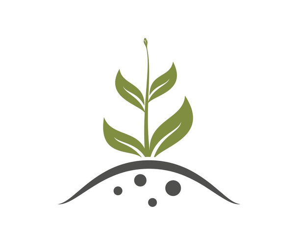 проросшее растение с бутоном. садоводство, посадка и растущий символ. изолированное векторное изображение - Вектор,изображение