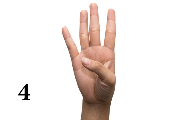 Number four language in American Sign Language (ASL). - Foto, Bild