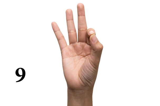 Liczba dziewięć języków w amerykańskiego języka migowego (Asl). - Zdjęcie, obraz