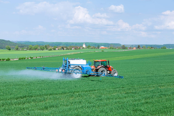 トラクターを使用して肥料や除草剤で小麦を噴霧.害虫からの植物の保護. - 写真・画像