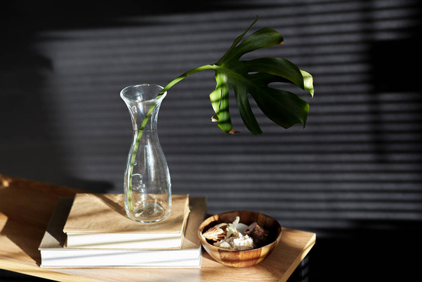 interior and home decor concept - monstera leaf in glass vase, books and seashells on bench over black background - Fotoğraf, Görsel
