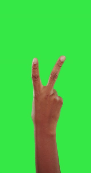 Зелений екран, що показує і рука миру для знака ізольовано на студійному фоні. Безтурботний, вітання і рука людини з жестом емодзі, макет простору і спілкування на хромосі
. - Кадри, відео