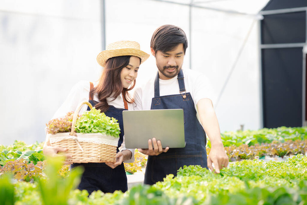 Two men and women are in a hydroponic vegetable garden, they are inspecting and harvesting vegetables to be delivered to restaurants and supermarkets. The idea of growing hydroponic vegetables. - Photo, Image