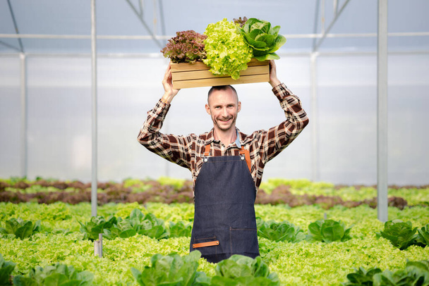 A man owns a hydroponic vegetable garden, he grows wholesale hydroponic vegetables in restaurants and supermarkets, organic vegetables. new generations growing vegetables in hydroponics concept - Foto, Imagen