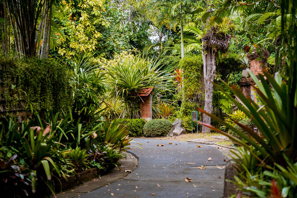Luxury landscape design of the tropical garden. - Fotoğraf, Görsel