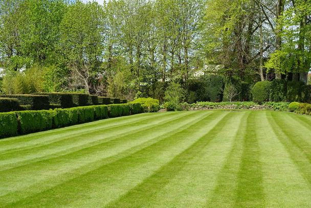 Widok na piękny ogród krajobrazowy w stylu angielskim ze świeżo skoszonym trawnikiem w paski i zielonymi roślinami liściastymi - Zdjęcie, obraz