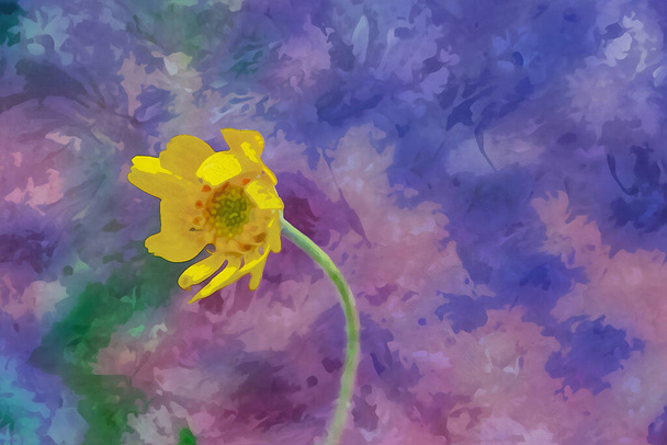 Pintura de acuarela creada digitalmente de un impresionante Lanceleaf Coreopsis amarillo salvaje en el ecosistema natural. Foto de alta calidad - Foto, imagen