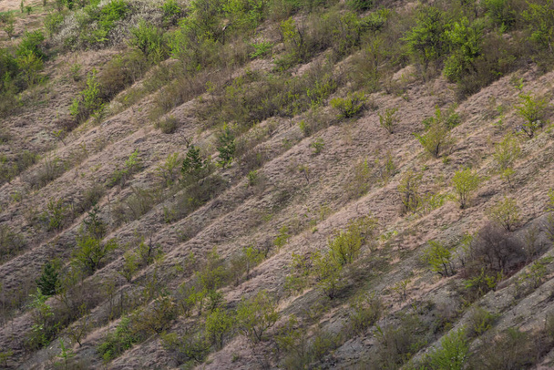 Вид равина, покрытого зеленью. Пейзажная долина с геологическими разломами. Земляные горы и удары рельефа на фоне неба. Луч холма с выступами и углублениями. Трава и деревья на склоне каньона. - Фото, изображение