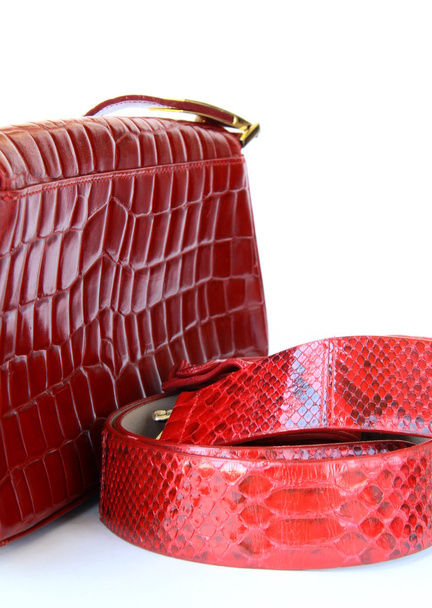 Accessori Donna borsa rossa e cintura alla moda
 - Foto, immagini