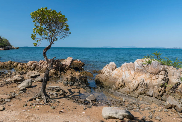 Mongrove árvore na praia de areia por arco de pedra e céu azul em Ko Man Klang, Rayong. Tailândia. Fabricante de férias de verão ou férias em país tropical, Sião. - Fotografia, imagem