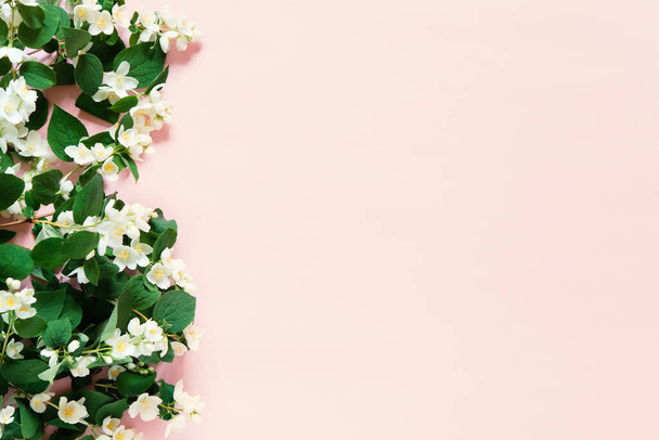 Festive pastel colors background template. Floral flat lay minimalism greeting card. mockup. Beautiful natural jasmine flowers on a plain background. - Fotó, kép