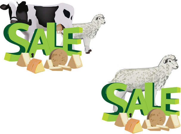 mixed sheep and cow cheeses with discounts - Wektor, obraz