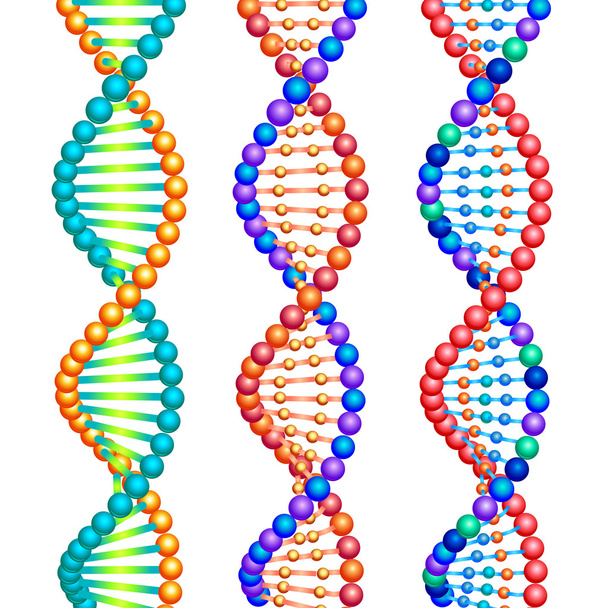 Molécules d'ADN spirales
 - Vecteur, image