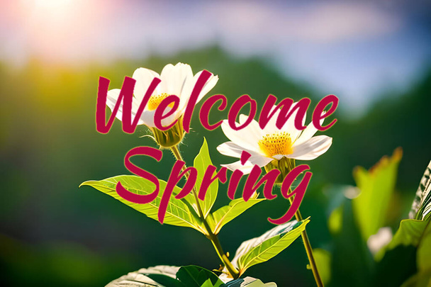 Bienvenida primavera saludos estacionales fondo de pantalla para pancarta y comercial, hermosa flor de la naturaleza y verde con un poco de amanecer. - Foto, imagen