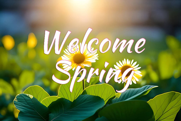 Welcome spring seasonal greetings wallpaper background for banner and commercial, beautiful nature flower and green with some sunrise. - Fotó, kép