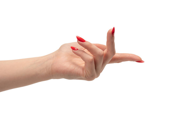 Closeup of female hand with pale skin and red nails pointing or touching isolated on a white background.  - Photo, Image