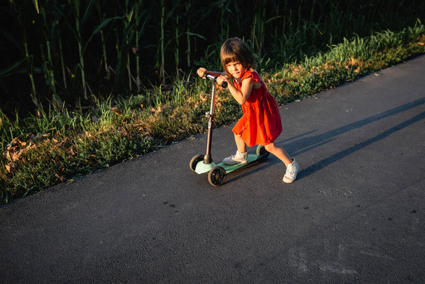 little girl in red dress riding red scooter on a road next to corn field - Фото, изображение