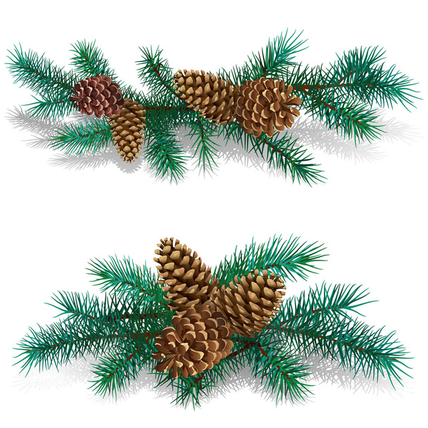 Branches of pine-tree with the cones - Vector, Image