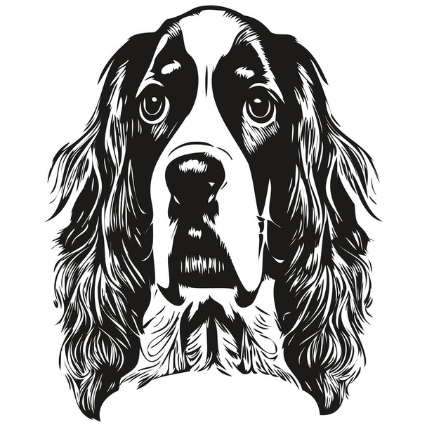 Spaniel English Springer dog logo hand drawing line art vector drawing black and white pets illustratio - Вектор, зображення
