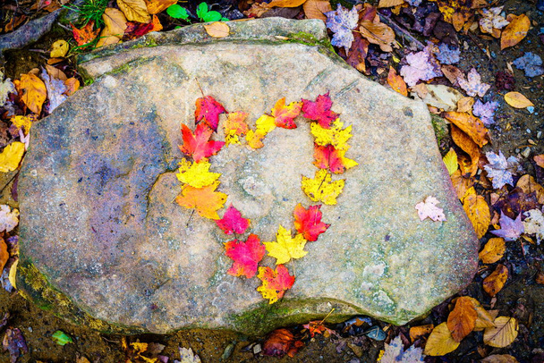 A forma di cuore fatto di foglie d'acero colorate su una roccia - Foto, immagini