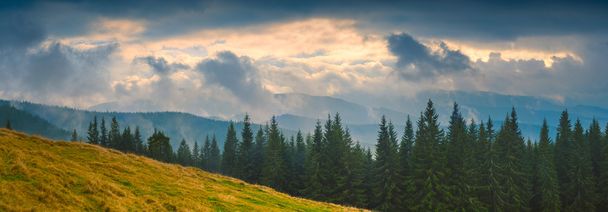 Carpathian stormy weather - Foto, afbeelding
