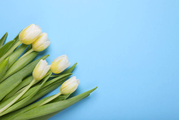 Beautiful yellow tulips on light blue background, flat lay. Space for text - Foto, immagini