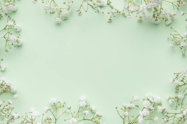 Białe cygańskie kwiaty lub kwiaty oddech dziecka na zielonym tle. Przestrzeń kopiowania. - Zdjęcie, obraz