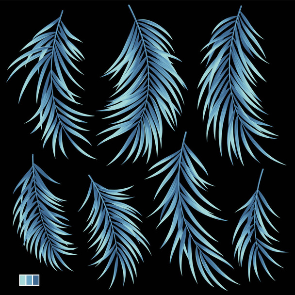 Collection of beautiful fern leaves vector material, - Vektori, kuva