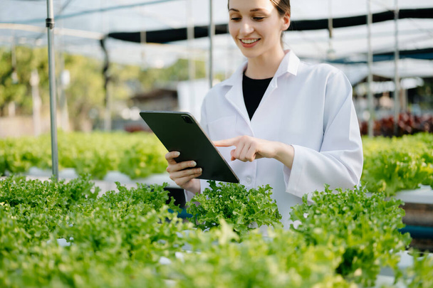 Researcher in white uniform are checking with ph strips in hydroponic farm and pH level scale graphic, science laboratory greenhouse concept.  - 写真・画像
