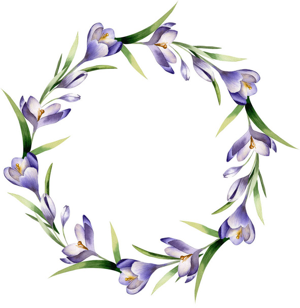 Corona de acuarela con flores de primavera azafrán sobre fondo blanco. Marco floral - Foto, Imagen