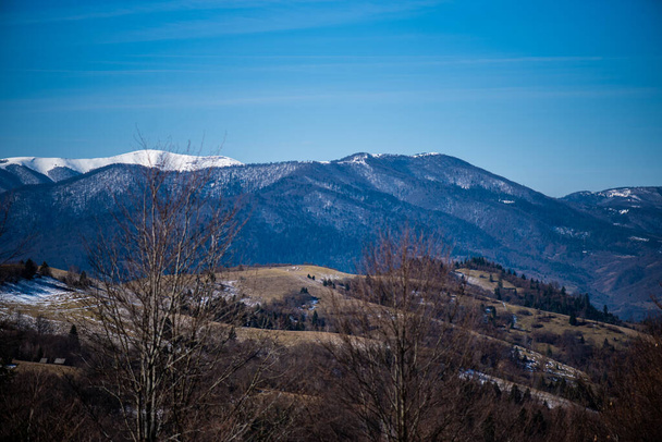 Early spring in mountains. Snowy peak and coniferous forest - Фото, изображение