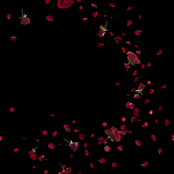 Barrido de rosas rojas en negro
 - Foto, Imagen