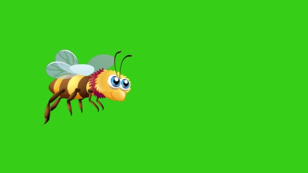 Animatie van vliegende bij in groen scherm achtergrond. Close-up video van honingbij vliegen tegen een groen scherm, wilde dieren insecten tekenfilm animatie  - Video