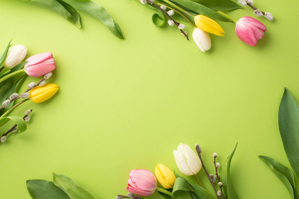 Mother's Day concept. Top view photo of floral decorations pussy willow branches and colorful tulips on isolated light green background with empty space - Photo, image