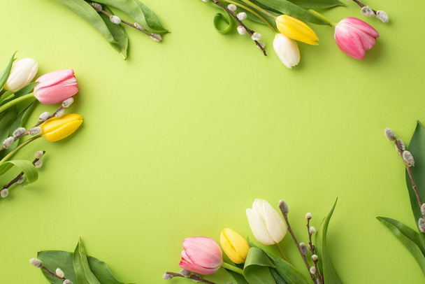 Woman's Day concept. Top view photo of floral decorations pussy willow branches and colorful tulips on isolated light green background with copyspace - Foto, imagen